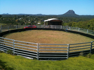The round yard at Sunshine coast agistment
