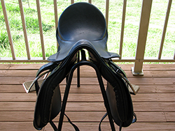 Stubben Scandica for sale Qld