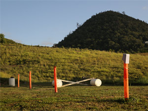 The arena