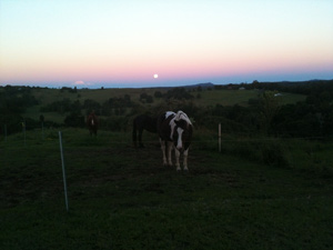NIght fall at Sunshine Coast agistment